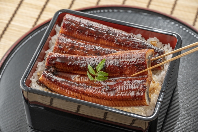 国産うなぎ蒲焼 三河一色産